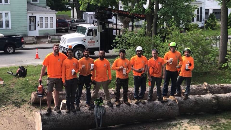 Tree team photo