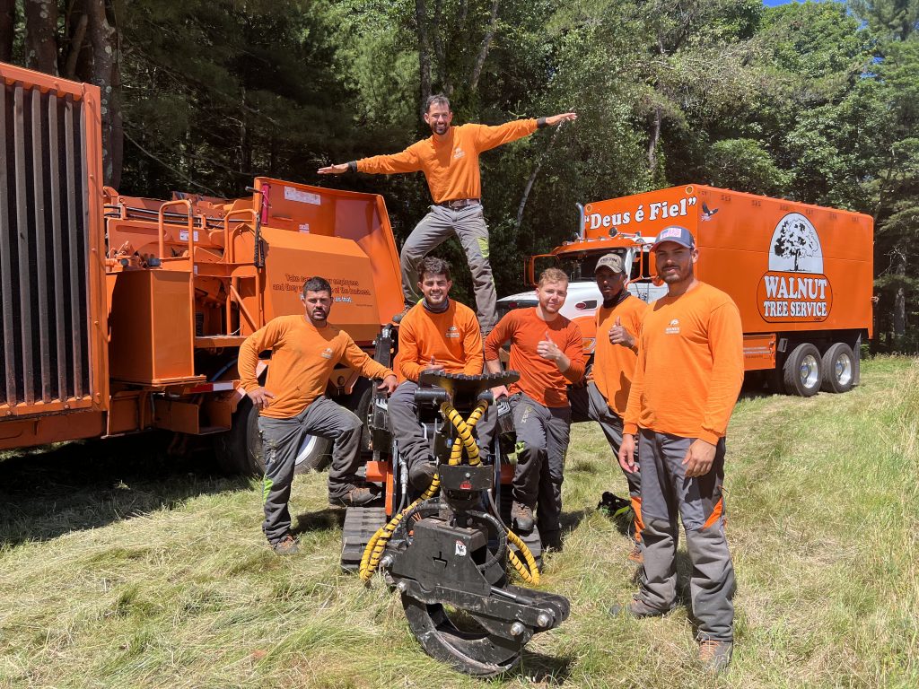 Tree removal team picture