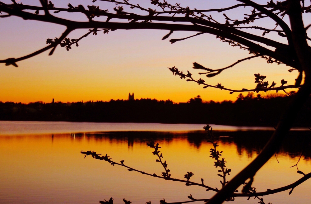 Chestnut Hill Reservoir