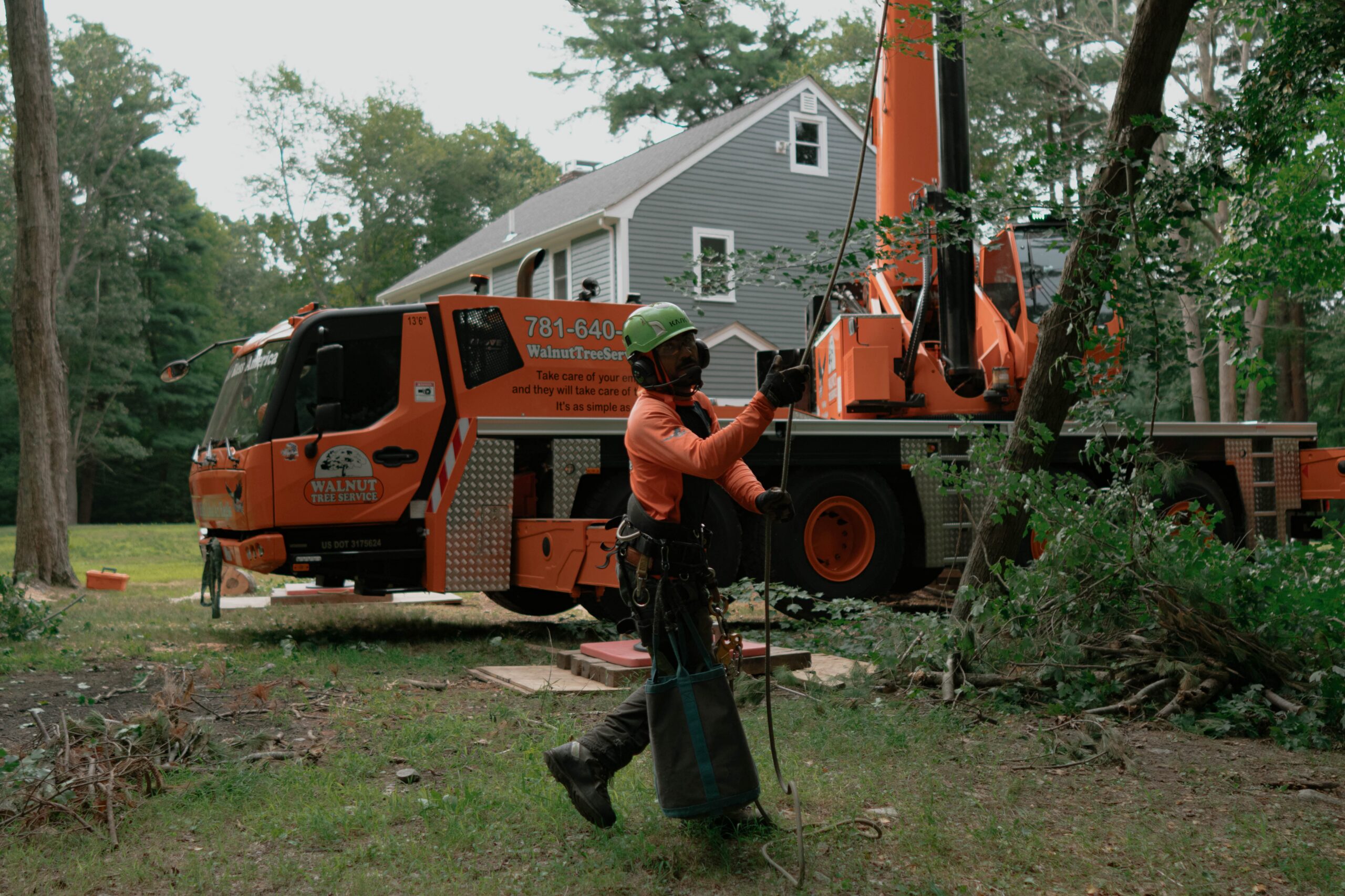 Walnut tree services employee working outside