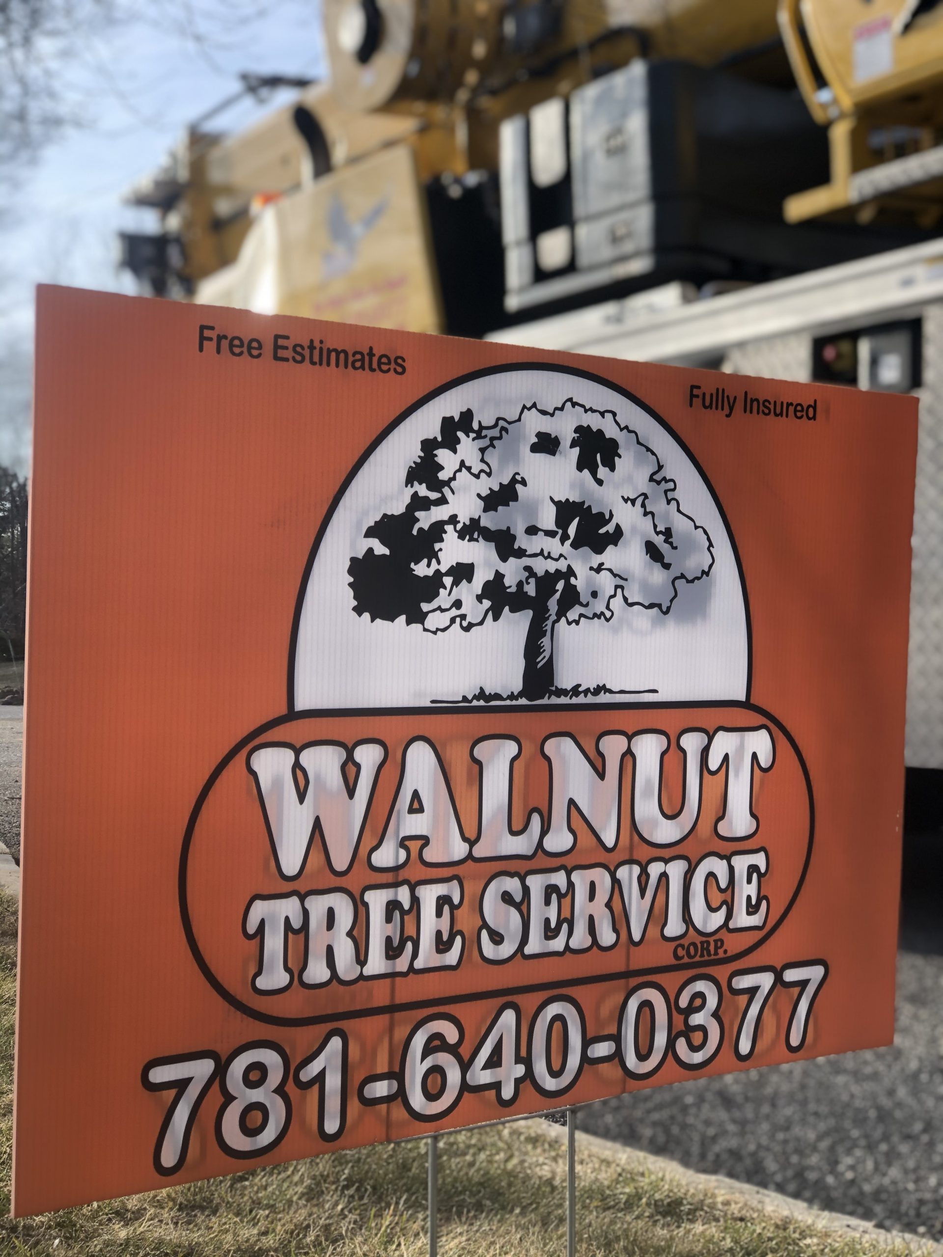 Walnut Tree Sign