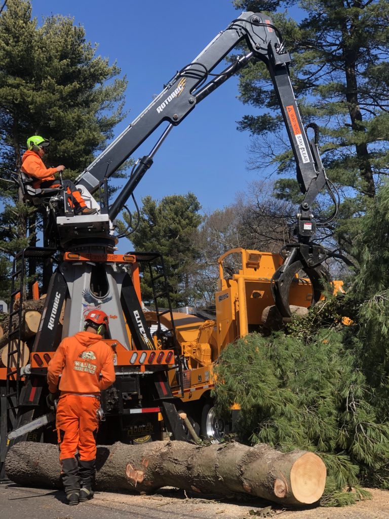 Crane at work