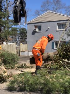 Storm Damage Clean Up