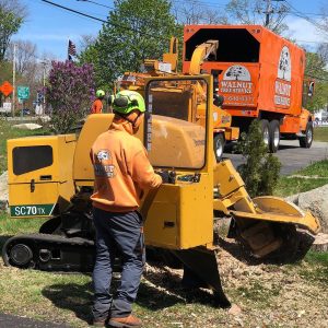 Walnut Tree Equipment