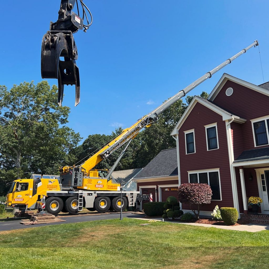 New Crane Service