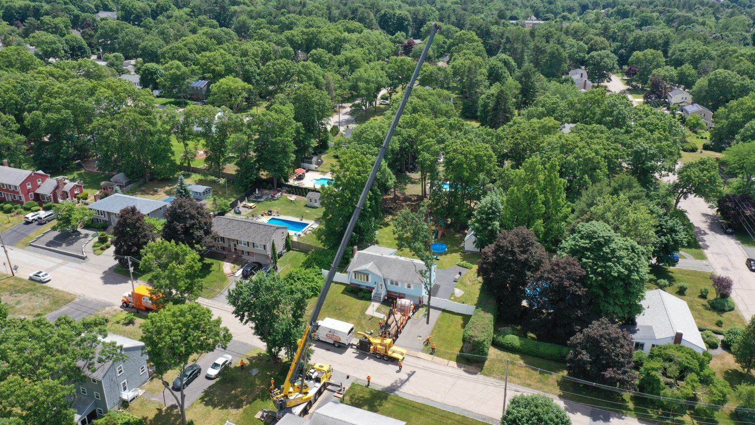 Crane Tree Removal Service in Massachusetts | Walnut Tree Service