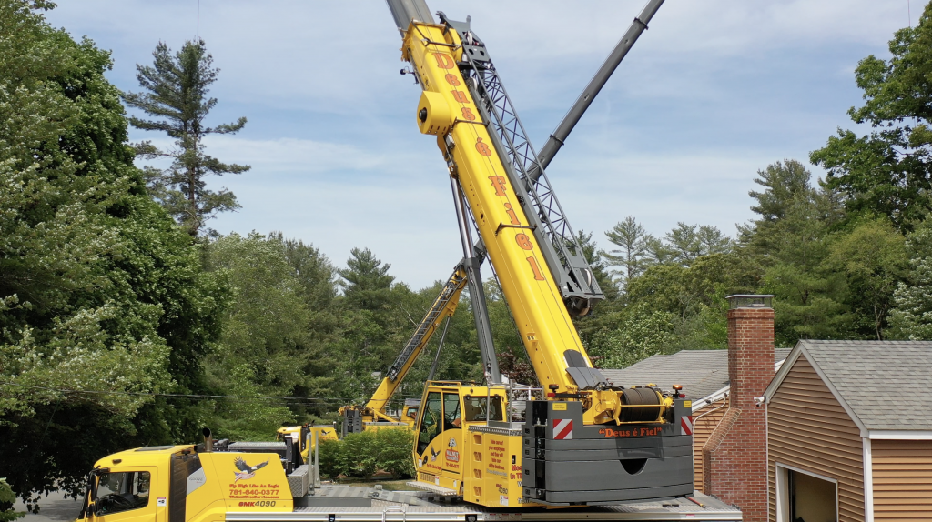 Crane