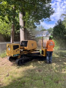 stump grinding in process