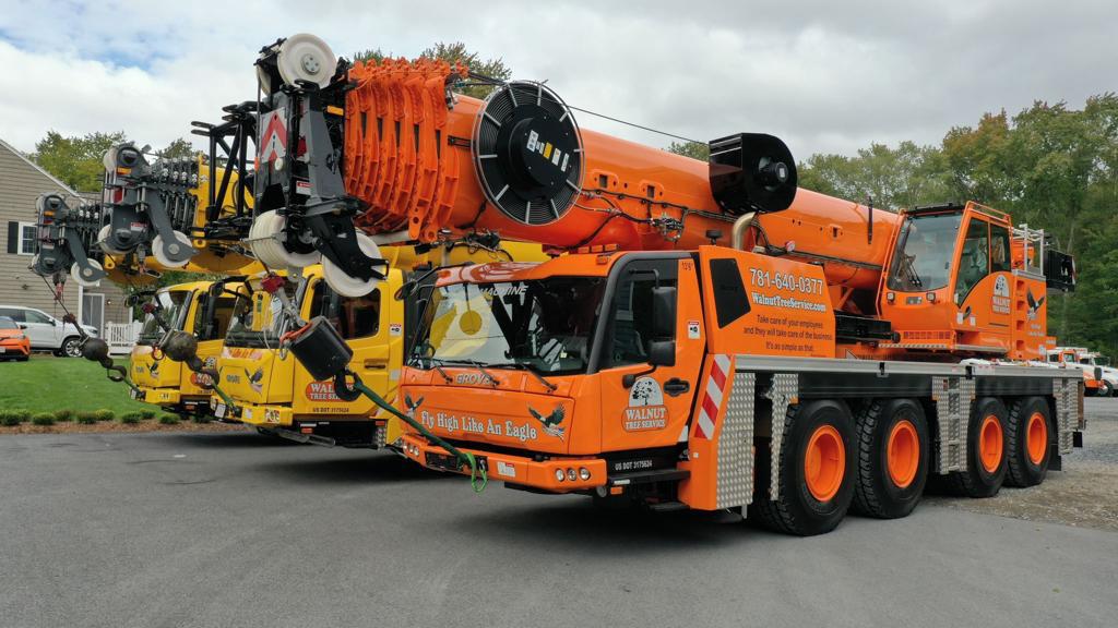 Tree Removal Trucks