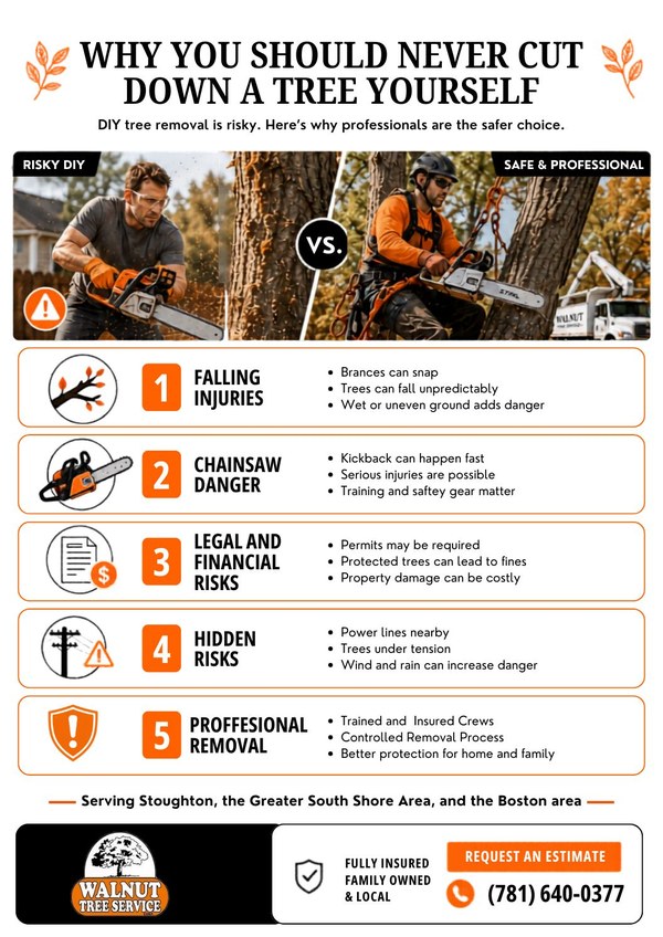 Why you should never cut down a tree yourself infographic.