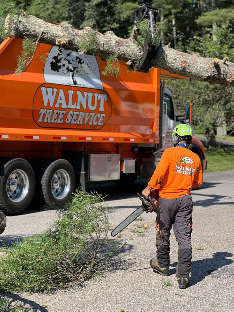 Storm damage recovery