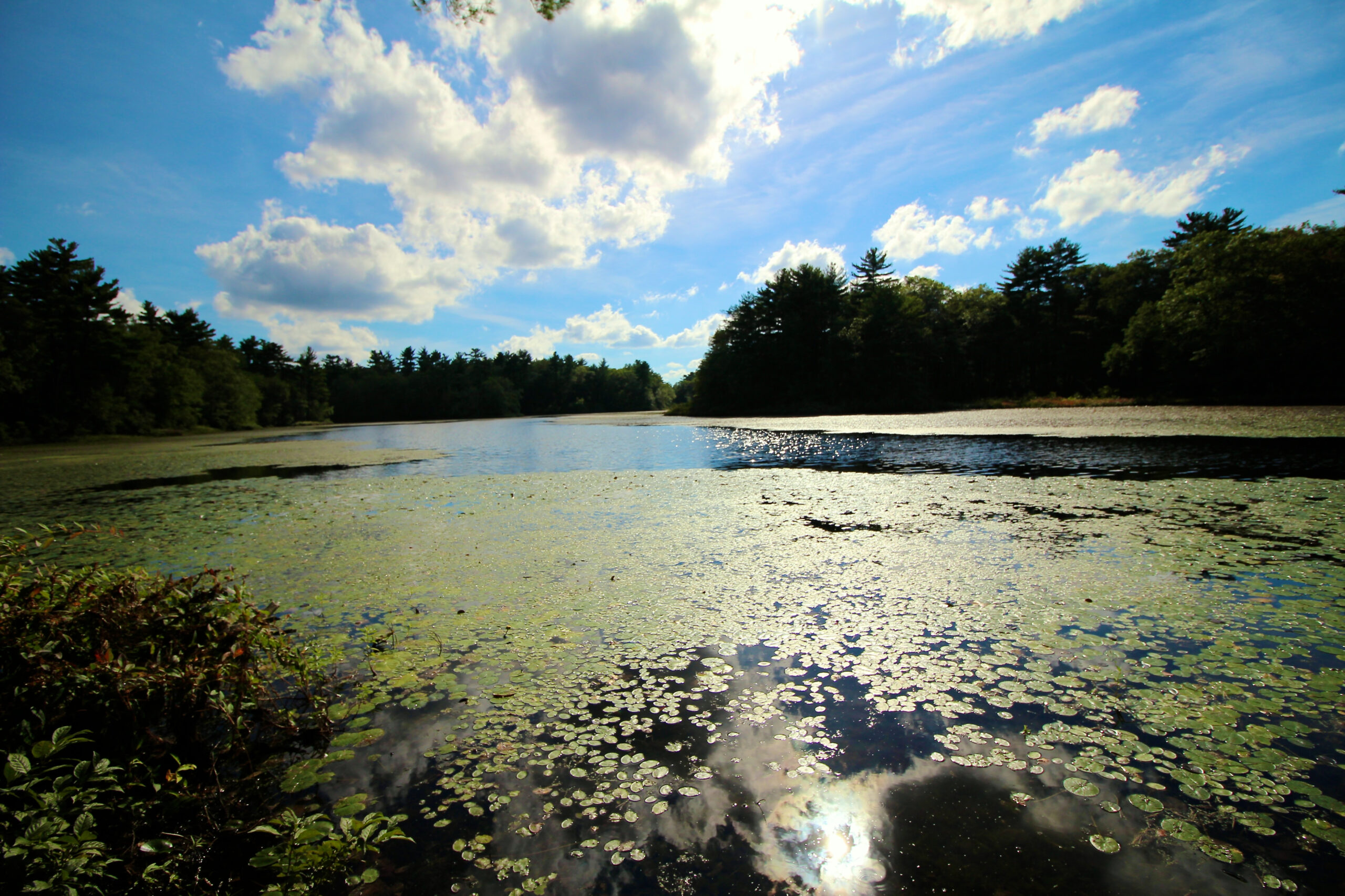 bridgewater, ma lake