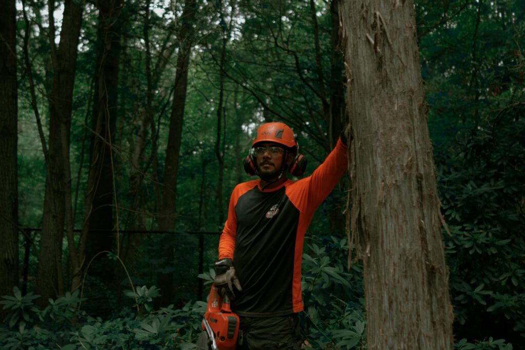 A professional arborist wearing an orange safety helmet holding a chainsaw while inspecting a tree trunk for signs of disease in a dense forest