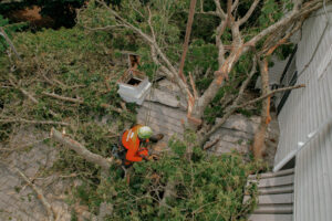 A worker overlooking the damage from a storm.