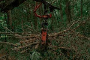 Walnut Tree Service Machine
