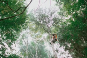 Man climbing and working on a tree