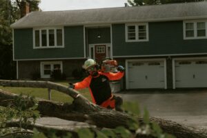 Walnut tree service employee carrying power tool on shoulder