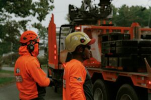 Walnut tree service employees working with a work truck behind them