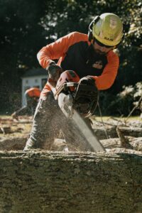 A Worker cutting through a tree with a chainsaw.