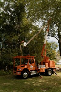 Worker on top of crane trimming trees.